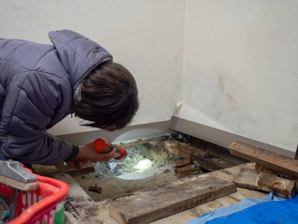 Best Air Quality Testing for Mold Spores  in Bexley, OH