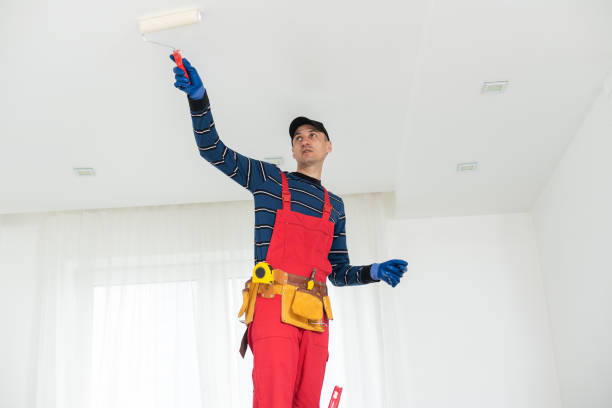 Mold Documentation for Insurance Claims in Bexley, OH
