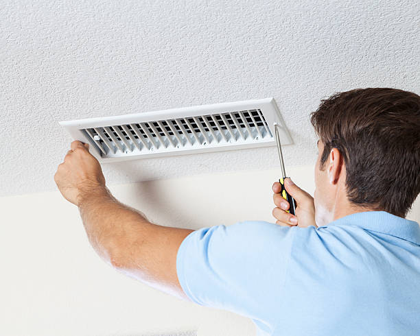Best Mold Remediation for Healthcare Facilities  in Bexley, OH